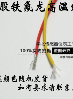 pt100热电阻温度传感器微型热电偶两线探头防水wzp-pt100感温线