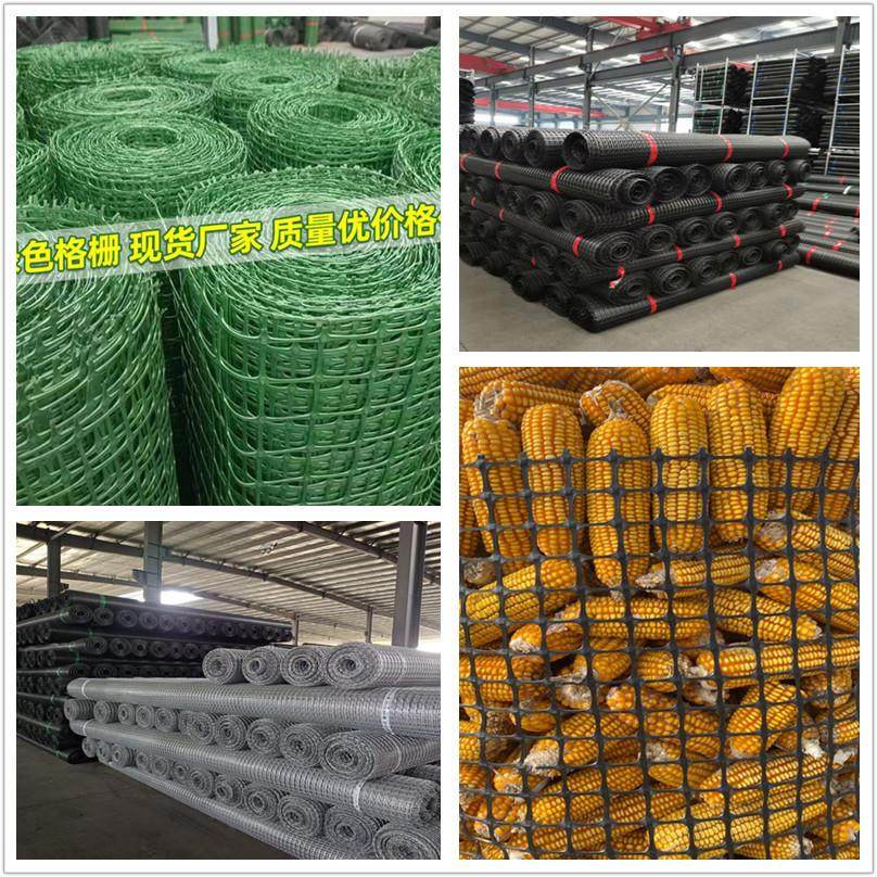 塑料网圈玉米网养鸡鸭圈地养殖围栏网果园菜园土工格栅塑料围栏网,淘宝优惠券,粉丝福利购,淘宝优惠卷