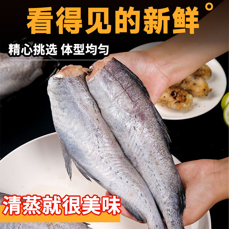 顺丰次日达深海无头明太鳕鱼新鲜冷冻海鲜官方旗舰店辅食婴儿宝宝,淘宝优惠券,粉丝福利购,淘宝优惠卷