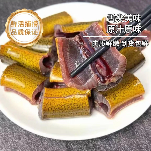 顺丰新鲜黄鳝段鲜活鳝鱼段片现杀去头去内脏野煲汤生土黄鳝商用 - 图2