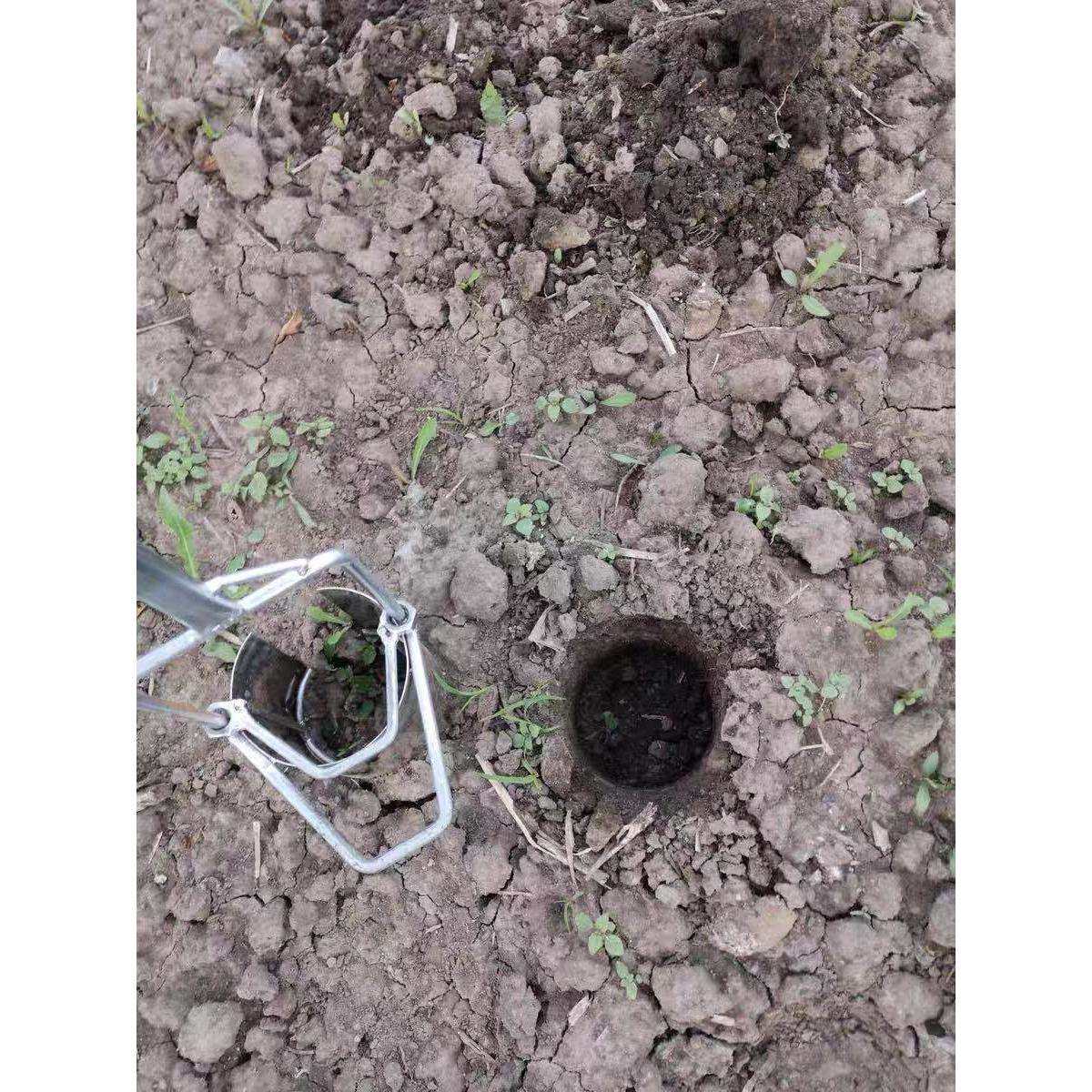 移苗器移栽器不锈钢大脚蹬舒适加密焊接补玉米苗耕种机械,淘宝优惠券,粉丝福利购,淘宝优惠卷