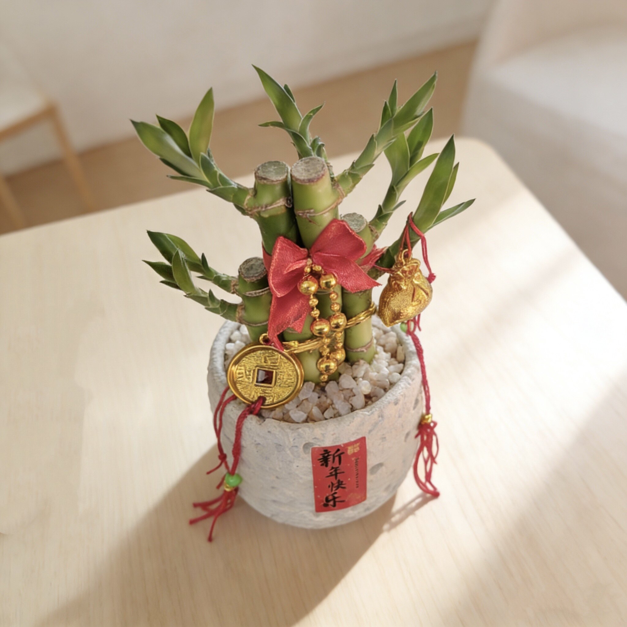 【芭芭农场】风水富贵竹植物客厅文昌竹盆栽盆景转运竹室内绿植,淘宝优惠券,粉丝福利购,淘宝优惠卷