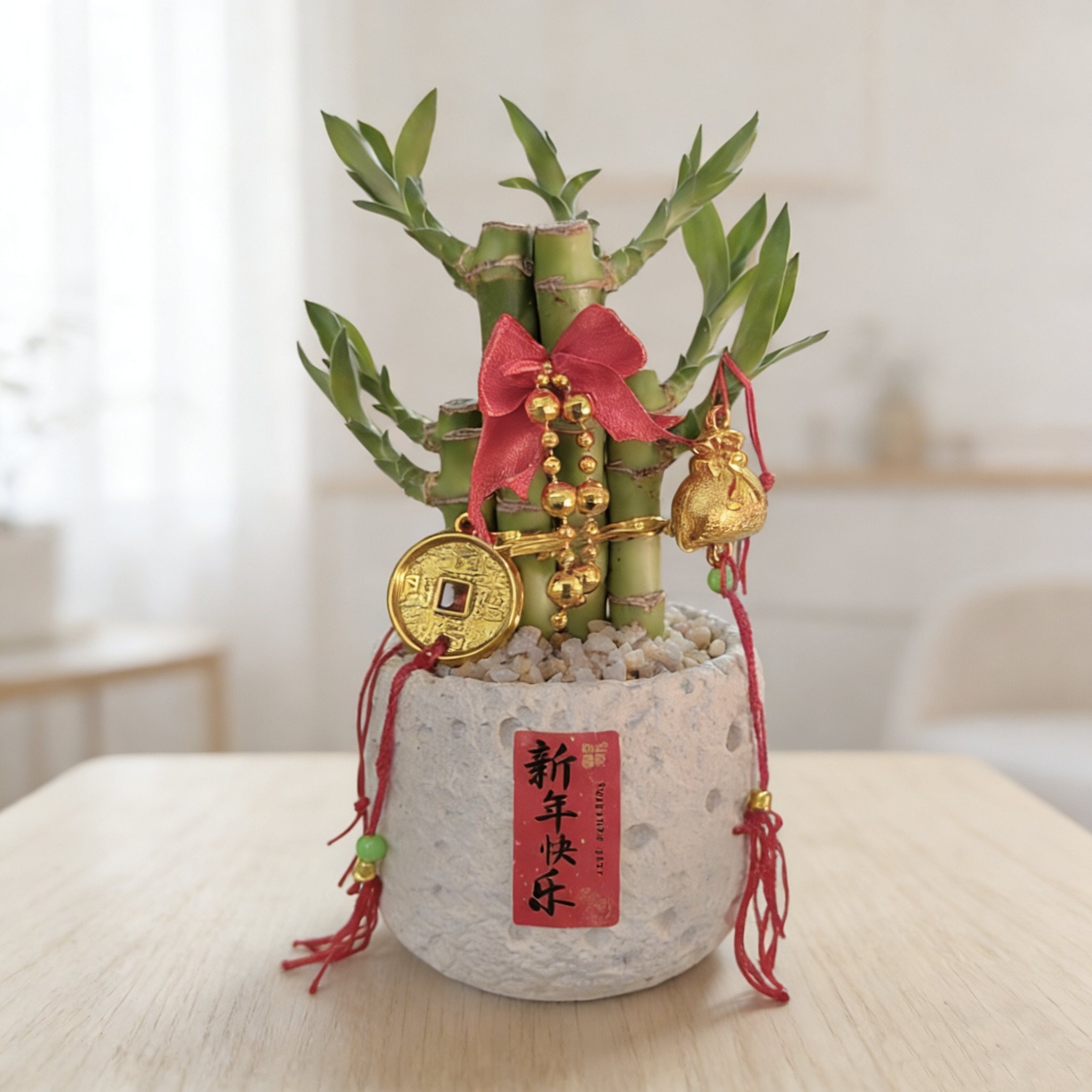 【芭芭农场】风水富贵竹植物客厅文昌竹盆栽盆景转运竹室内绿植,淘宝优惠券,粉丝福利购,淘宝优惠卷