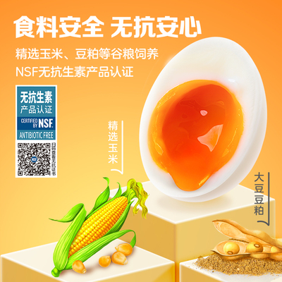 香满园无抗可生食减醇鸡蛋30枚装