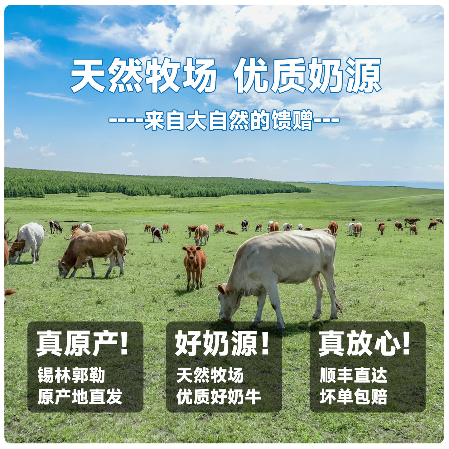 奶皮子内蒙古特产官方旗舰店鲜奶皮子动物奶油奶酪原制奶制品零食,淘宝优惠券,粉丝福利购,淘宝优惠卷