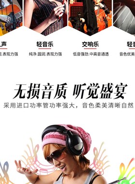 插话筒麦克风2声道家用音箱电脑无线蓝牙大方牛功放机大功率功放