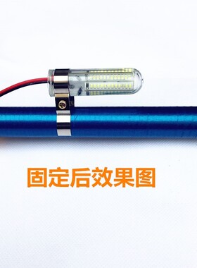 下水灯12v灯泡防水12v水下灯led鱼灯强光防水灯夜钓灯鱼竿抄网灯
