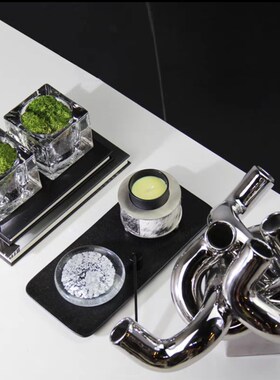 卧室客厅床头柜茶几书柜酒柜挂画小绿植真书蜥蜴金属装饰摆件组合