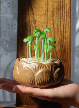 日式手工琉璃多肉仙人掌教师节办公室玻璃摆件微景观仿真盆景植物