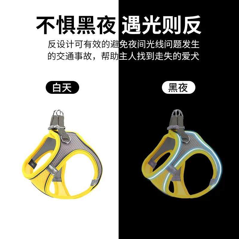 兔子牵引绳遛兔子专用防挣脱溜兔子兔绳子遛兔绳小侏儒兔用品防咬,淘宝优惠券,粉丝福利购,淘宝优惠卷