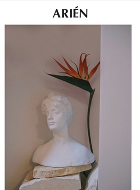 ARIN私藏Le buste dEve独家雕塑艺术品胸像小稿画廊级造型