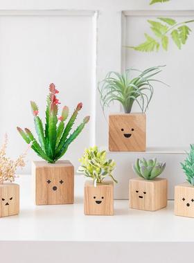 阿楹 治愈小摆件植物角洞洞板工位布置 电视柜书架厨房日式装饰花