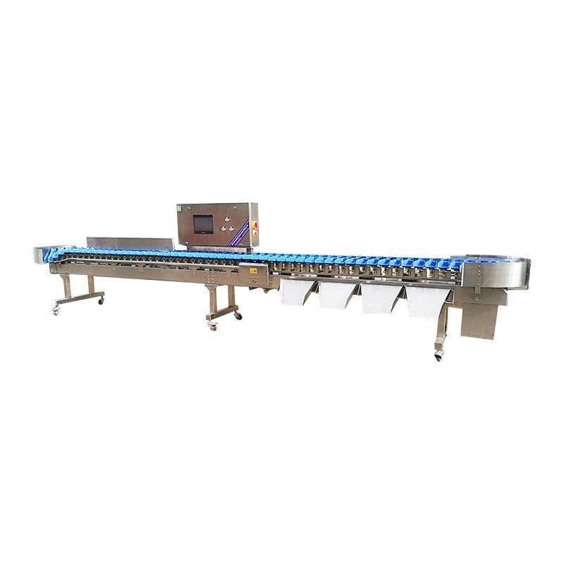 海鲜水产自动上料分选机牡蛎生蚝重量分拣机鱿鱼称重分选机,淘宝优惠券,粉丝福利购,淘宝优惠卷