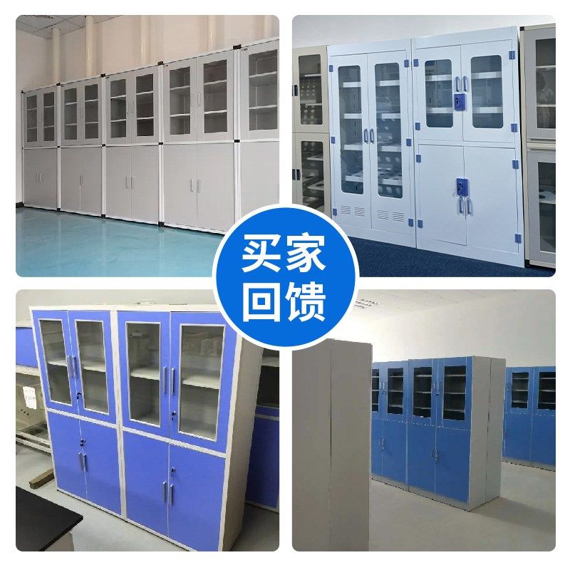 药品柜试剂柜样品柜仪器柜实验室全木pp全钢不锈钢带锁玻璃器皿柜,淘宝优惠券,粉丝福利购,淘宝优惠卷