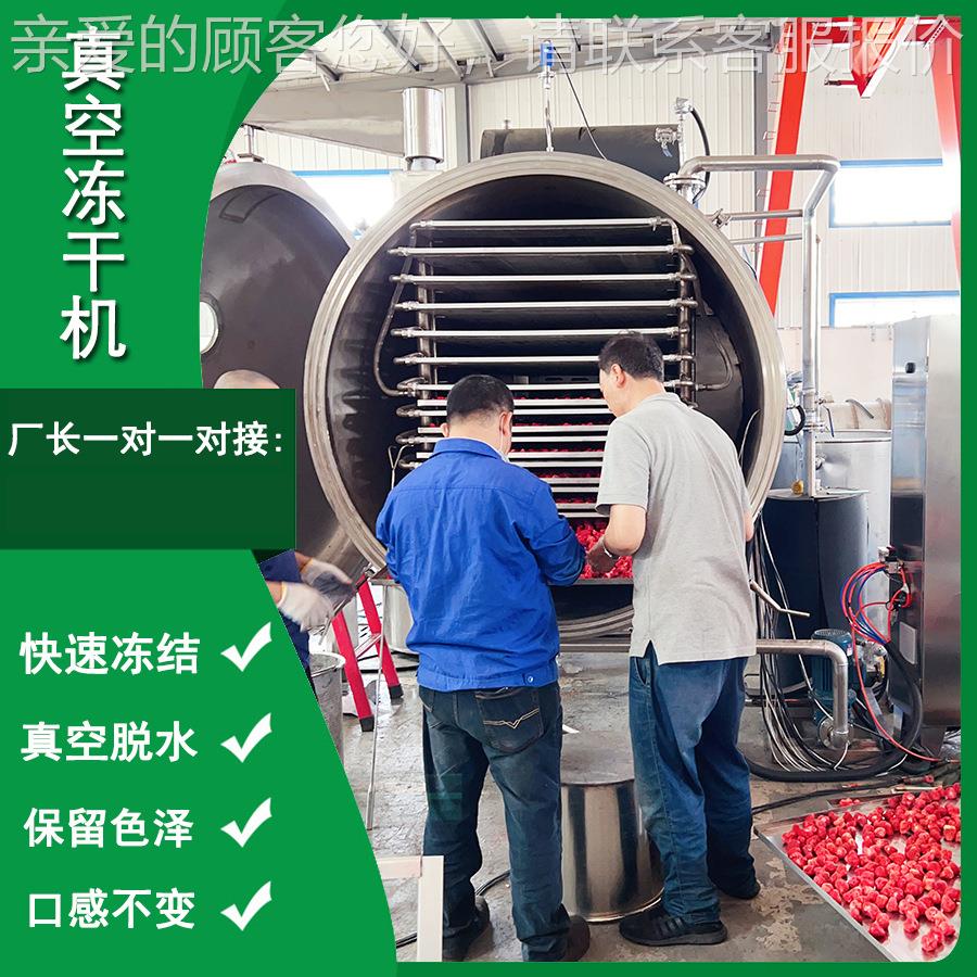 宠零食冻机 复合蛋HSDG-15黄粒真空冻干干猫机 什厂锦果蔬脆冻干 - 图1