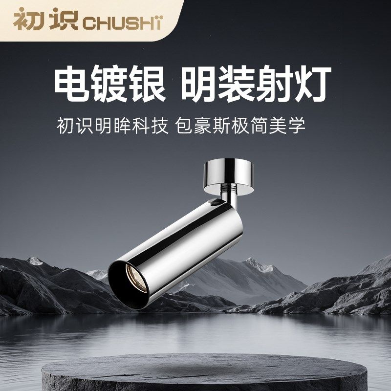 初识照明护眼不锈钢明装射灯2025新款家用电镀银可调角度洗墙灯,淘宝优惠券,粉丝福利购,淘宝优惠卷
