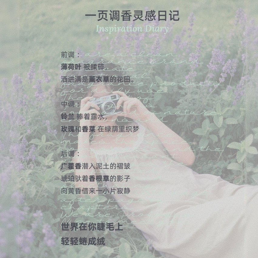 绪章自然车载香薰片扩香卡香氛卡片持久留香卧室香片随身高级书签,淘宝优惠券,粉丝福利购,淘宝优惠卷