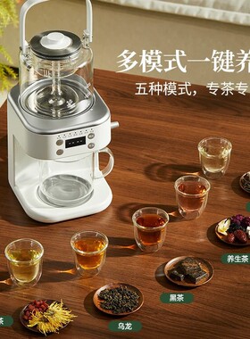 鸣盏养生壶2026新款家用炖煮一体煮茶壶喷淋式大容量烧水壶花果茶