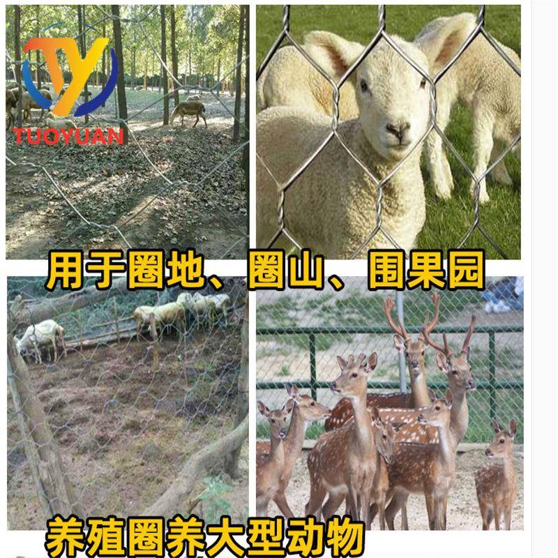热镀锌铁丝网围栏拧花网养鸡养羊护栏钢丝网编织菱形六角网养殖 - 图1