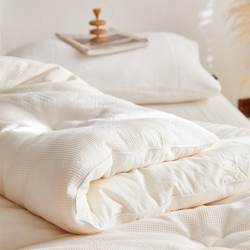 高档A类轻奢55李官奇大豆被春秋被 冬季保暖全棉软被芯单双人冬被,淘宝优惠券,粉丝福利购,淘宝优惠卷