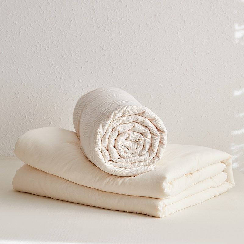 高档A类轻奢55李官奇大豆被春秋被 冬季保暖全棉软被芯单双人冬被,淘宝优惠券,粉丝福利购,淘宝优惠卷