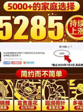 先生推荐鲤鱼莲花图开门见鞋柜荷花卫生间好运连连锦鲤正品韵贴画