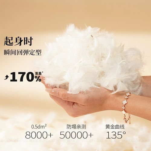 客厅沙发抱枕芯靠枕靠垫芯加重加厚支撑护腰45 50 60长正方形定制 - 图2