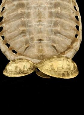 铜乌龟壳创意六摇卦铜钱用具龟甲六十四卦工具中式工艺品家居摆件