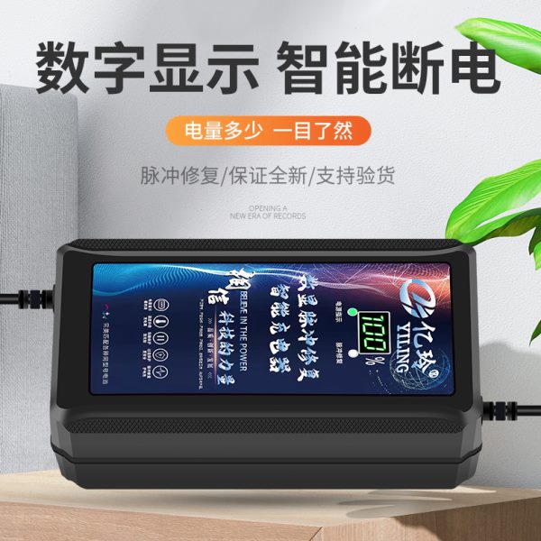 赛克电动车充电器48V两轮电瓶车60V20AH冲电器72断电脉冲修复原装 - 图3