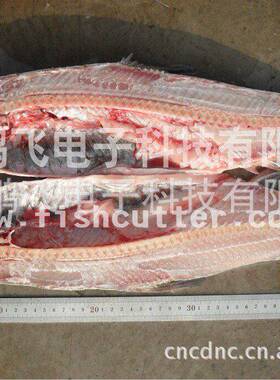 供应全自动鱼体剖片机杀鱼机开片机鱼类机械