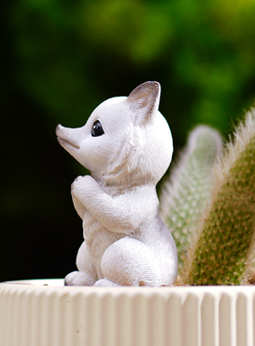 创意九尾狐狸多肉仙人柱猴尾柱花盆栽装饰摆饰阳台花园微景观造景