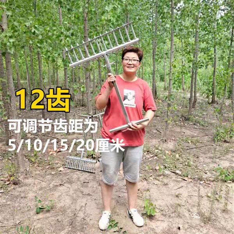 种葱神器栽葱机器栽苗器大葱叉子打孔F工具洋葱打眼插苗栽葱栽苗 - 图1