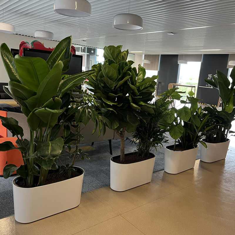 鱼缸柜底柜金属家用客厅鱼缸架带柜子承重置物架水族箱鱼缸底座柜