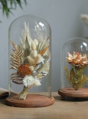 植物标本干花花艺摆件家居创意花瓶软装样板O间书房橱窗展示台陈