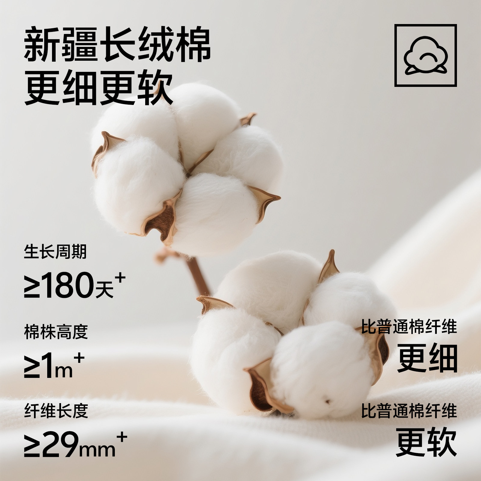 10A抗菌|抗起球袜子夏季薄款透气男女中筒袜棉袜吸汗防臭商务棉袜