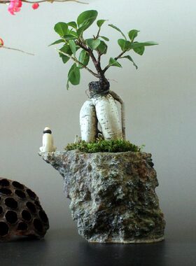 创意达摩禅意家居客厅中式装饰工艺品办公室书房榕树桌面茶几摆件