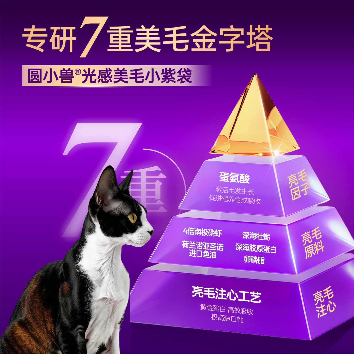 圆小兽德文专用猫粮三文鱼油美毛低温烘焙鲜肉全营养平价成猫增肥 - 图1