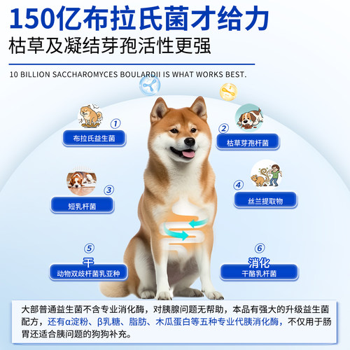 SPACEX星舰酷宠应急犬肠胰高效立康益生菌狗上下消化道常备补充酶 - 图2