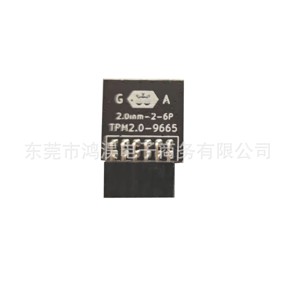 GA技嘉LPC 12PIN tpm 2.0远程卡加密安全模块 - 图3