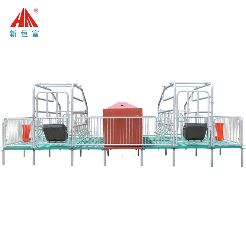 钢网片做母猪产床 单排畜牧猪产床供货商 猪产床多规格尺寸 - 图3