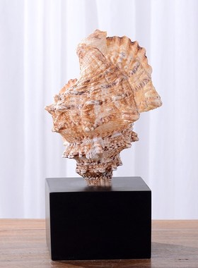 海洋风天然海螺摆件设计师酒店民宿家居软装饰品工艺品创意摆件