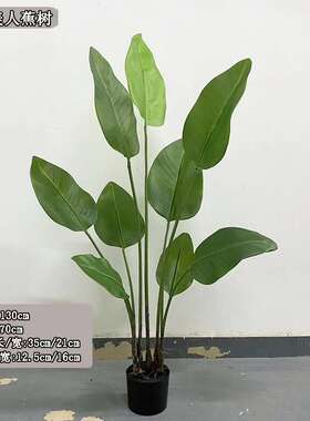 天堂鸟仿生绿植北欧小型仿真植物 美人蕉 假树室内客厅装饰盆栽
