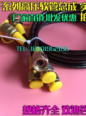 测压软管总成3*6 高压测试管压力表线 小细油管 液压测压点接头
