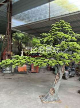 仿真树迎客松造景人造美人松假树新中式酒店景观假山玄关仿生松树