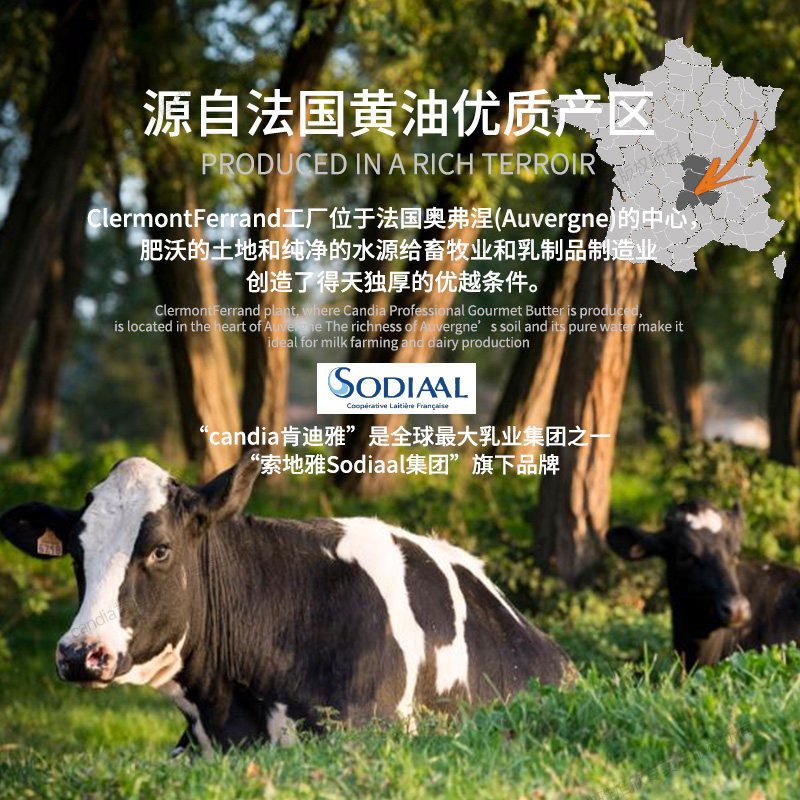 法国肯迪雅臻品淡味黄油乳酸发酵动物贵妇黄油煎牛排专用烘焙家用,淘宝优惠券,粉丝福利购,淘宝优惠卷
