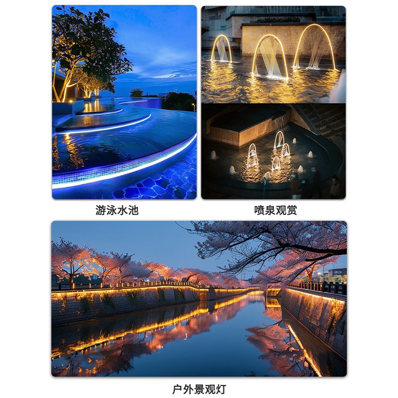 低压12v灯带led灯条汽车电瓶户外超亮水池工程亮化防水灯带条 - 图2