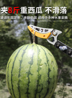 长城摘水果神器摘枇杷高枝剪伸缩高空剪摘果子神器多功能加长剪刀