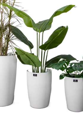 超大椭圆花盆加厚白色仿陶瓷塑料送托盘室内简约植物