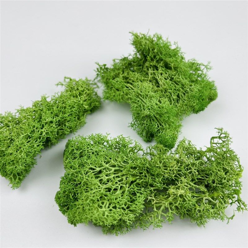 地衣仿真灌木丛兵人建筑沙盘场景观模型树草丛绿化地台模型荆棘团,淘宝优惠券,粉丝福利购,淘宝优惠卷