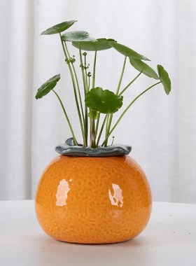 创意大吉大利荔枝桔子水培花瓶花盆简约桌面新房客厅乔迁玄关摆件
